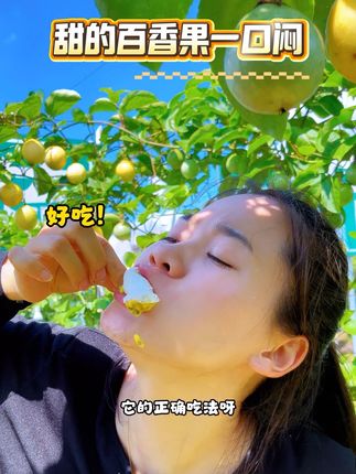 黄金百香果的正确打开方式就是一口闷,你试过了吗? #优质农产品 #新鲜应季水果 #黄金百香果 #钦蜜9号百香果 #百香果