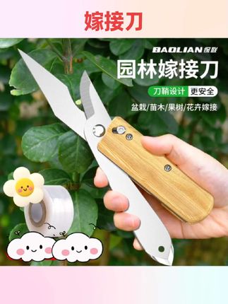 #嫁接神器 嫁接专用刀多功能果树嫁接刀苗木芽接嫁植物月季嫁接剪神器手工刀#好物推荐🔥 #实用工具 #嫁接刀 #实用好物