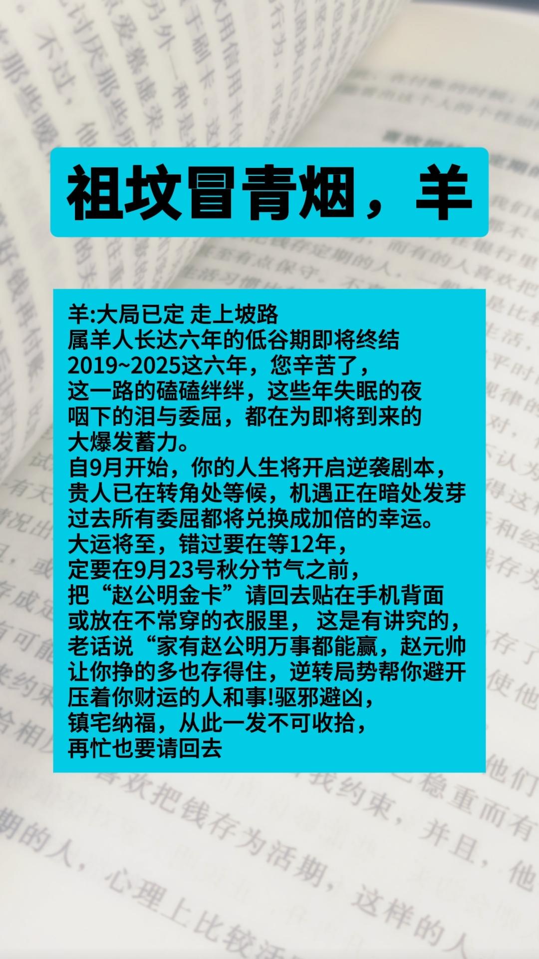 #羊 #属羊 #生肖羊