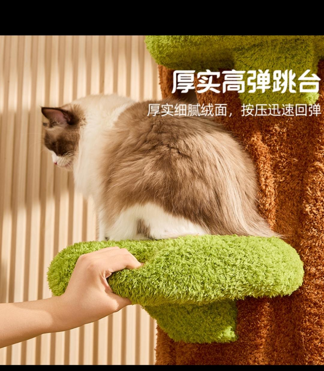 好看又好玩的多功能猫爬架。这应该是每个铲屎官都梦寐以求的猫爬架吧,不仅颜值高,质量还特别好,多层高度可以满足不同猫咪的需求,而且还是四季通用的猫窝。我家猫特别喜欢待在这个上面,感觉就像回到了大自然一样。有了它之后,我家猫都不跟我睡了,自己乖乖去睡觉,快给你家宝贝安排上吧!#猫咪大明星 #萌宠 #萌宠出道计划 #也太可爱了吧 #动物@dou+小助手