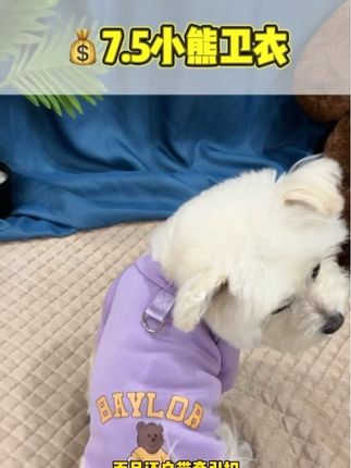 天冷了你家的毛孩子都有衣服了没,这个价就能买到既便宜又柔软的小熊卫衣,别犹豫快快给你家的毛孩子安排上#狗狗#小熊卫衣#萌宠 #萌宠出道计划 #狗狗衣服