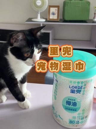 干干净净的小猫咪,#萌宠 #里兜湿巾 #里兜 #养猫新手 ,#色彩萌宠