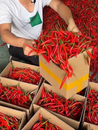 #小米辣 #朝天椒 #农产品 #巨辣 #剁椒