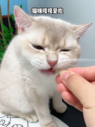 让排出来而不是吐出来!#养猫新手 #科学养宠攻略 #喂猫 #猫咪排毛 #宠物食品