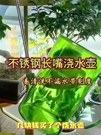#创作灵感 不锈钢长嘴浇水壶自带刻度浇水施肥更方便#浇水壶#浇水壶长嘴 #浇水壶浇花神器 #浇花神器