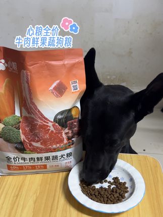 最近想换狗粮,预算卡的紧的话,不妨试试心粮全价狗粮吧~#狗粮#狗狗#养狗人#新手养狗 #家有馋狗