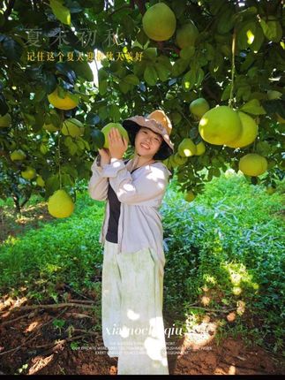 【莆田文旦柚,一口秋日的清甜馈赠】隆重登场 🌕 莆田核心产区,自然熟成 🌿 山野清风滋养,昼夜温差糖分凝聚 🌟 皮薄肉厚如玉,粒粒饱满透光 💦 汁水炸弹爆汁率高达60%,清甜微酸不涩口 🔥 乾隆年间贡品规格,当代果篮C位 ✅ 中秋宴席 办公室茶歇 伴手礼首选 ✨ 果皮清香自然 果肉甜度达标16°+ #莆田文旦柚 #中秋果礼 #应季鲜果 #爆汁柚子 #贡品级水果