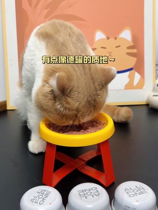 心心念念的万物一口主食罐贼好吃!刷到的快安排上#万物一口 #吃货猫 #养宠好物 #萌宠好物 #养猫人