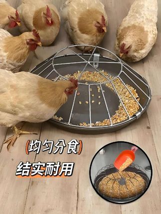 “鸡犬相闻,怡然自乐。”这喂食器让小院生活更有序NAMESPACE秩序井然。🐔饲料不再浪费,鸡儿吃得欢!#养鸡日常 #喂食神器