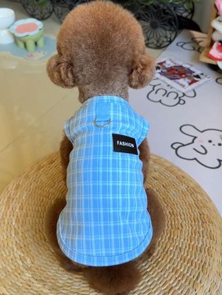 德绒背心马甲#宠物衣服#萌宠好物