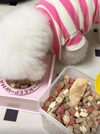 家有挑食狗狗的,这个冻干桶安排上,伴在狗粮里吃的嘎嘎香#狗狗冻干 #狗狗冻干零食 #宠物冻干桶