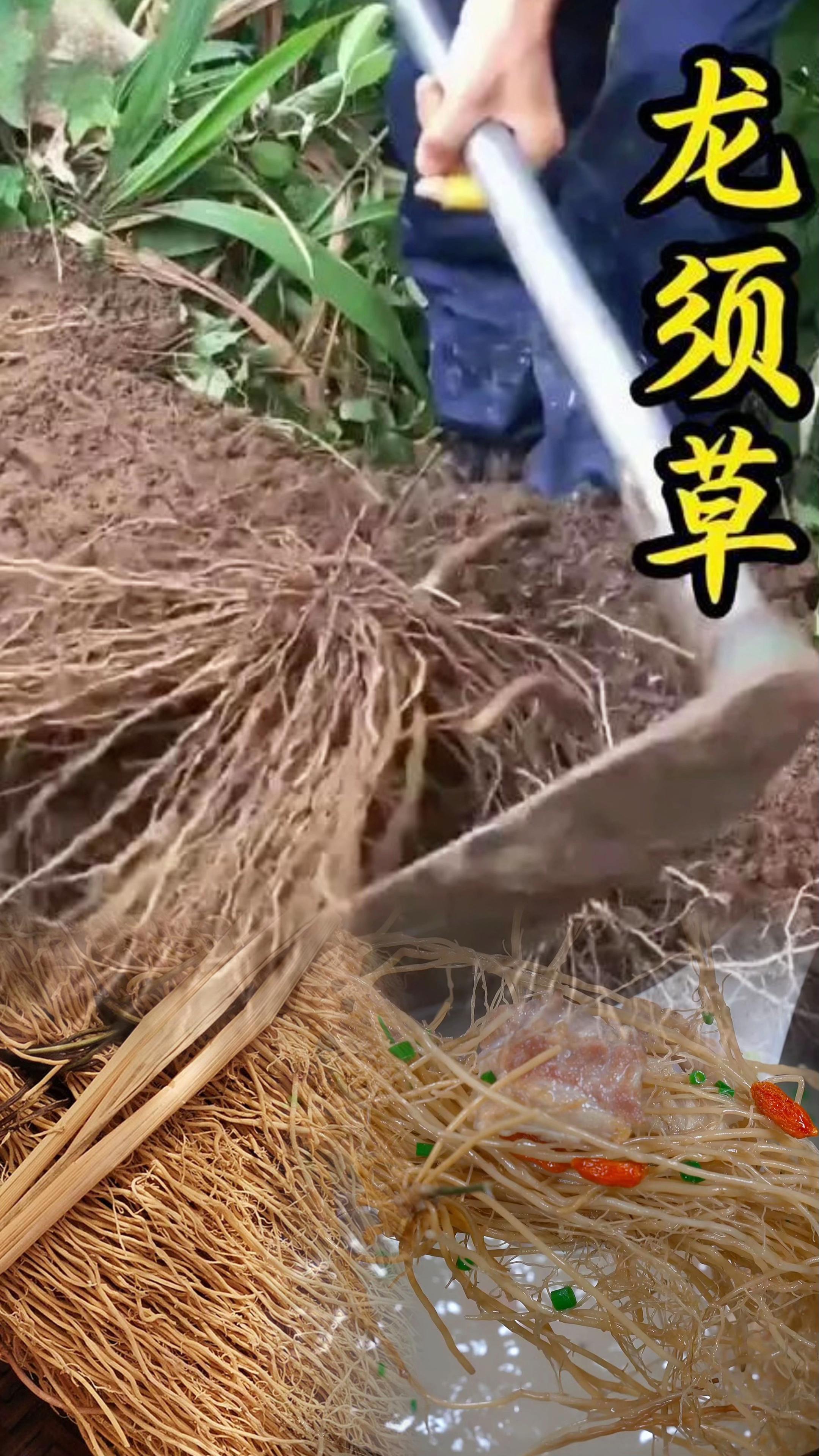 #潮汕美食 #潮汕人#靓汤 #龙须草#潮汕地区