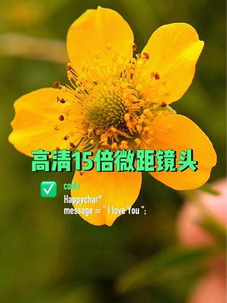 #上热门 透过微距,你会遇到另外一个世界。#微距镜头 #微距摄影 #随拍身边的美好 #小清新治愈系