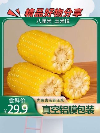 头茬黄金八厘米新玉米段糯玉米真空包装早餐东北黏苞米八厘米玉米