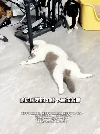 自己在家给毛孩子做驱虫主打的就是一个经济实惠又方便#宠物驱虫 #猫咪驱虫 #狗狗驱虫