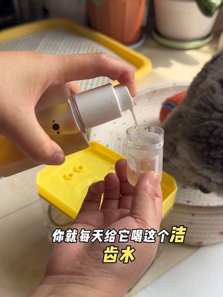 狗狗不爱刷牙后果严重哭都来不及,其实用洁齿水就方便很多。#萌宠好物 #养狗经验分享