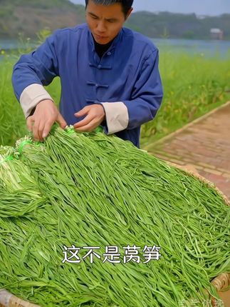 农家自晒贡菜来啦!9块99到手5包,赶紧来啊!脆嫩爽口嘎嘣脆,太香了,好好吃!#贡菜干 #超便宜超划算 #真的是清脆爽口好吃又开胃