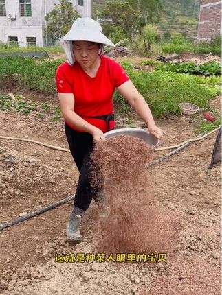 这就是种菜人眼里的宝贝#在家种菜 #种植小技巧#发酵稻壳