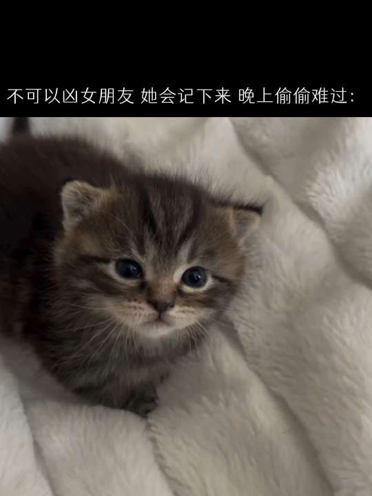伤人的话像带刃的雨滴 划破唯一的伞
