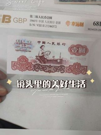 #收藏爱好者 精品幸运树一枚