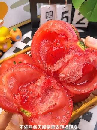 朋友们,你们还记得小时候那种味道的西红柿吗?现在它又回来了,这就是我们的攀枝花老品种西红柿,不仅好吃还好看,让你找回童年的感觉。喜欢的话就赶紧下单吧,让你吃到可口的西红柿!#好物推荐🔥 #脆甜多汁 #西红柿 #沙瓤西红柿 #上热门
