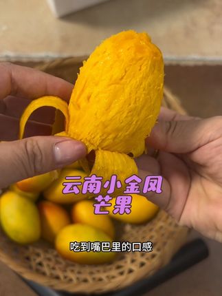 一吃一个停不下来 又香又甜的芒果#芒果 #云南小金凤 #农产品 #好吃到停不下来