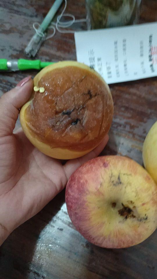 苹果不好坏的多#我在抖音买买买
