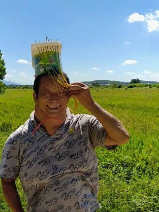 我家万穗爷说,村口这一片都是他给我打下的江山#我的乡村生活 #我的生活日记 #搞笑视频 #记录我的农村生活