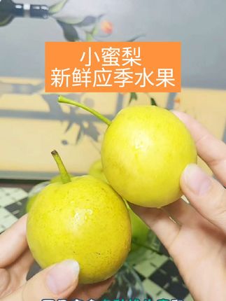 现摘现发新鲜发货,又脆又甜可好吃了##小蜜梨#新鲜应季水果