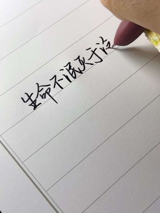 谁还没用过这支钢笔我都会伤心的 生命不泯灭于泛泛 我在绿意里重生#手写 #摘抄 #文字 @抖音小助手