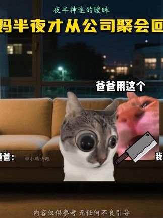 当老妈半夜才从公司聚会回来 #真心对撞男女合唱 #猫meme小剧场 #搞笑 #反转