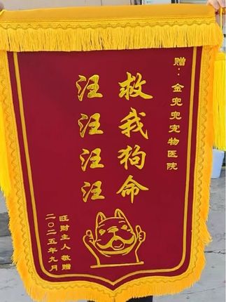 锦旗定制定做送老师送医生#锦旗