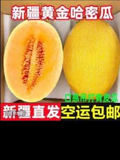 【新疆空运直发】吐鲁番哈密瓜金色年华现摘现发应季新鲜脆甜水果