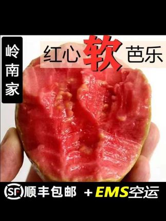 【香软大果】广西软心红心番石榴新鲜水果红心软芭乐净重3/5斤#软心红芭乐 #红心番石榴 #软心芭乐