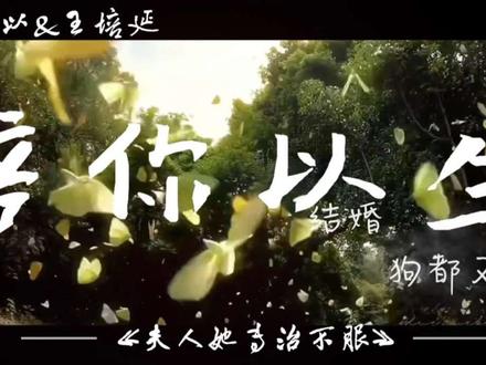 坐等第四部#夫人她专治不服#培你以生@李柯以Sylph @王培延baby🐲 #夫人她专治不服