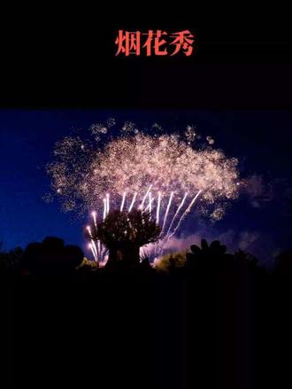 祝所有看到烟花的人都幸福#许愿树 #郑州银基动物王园