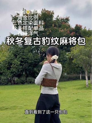 这只豹纹麻将包出门背它别提有多好背了,现在基本出门都背这个包🉑装下手机!!#豹纹包包 #麻将包#复古包包 #秋冬新款