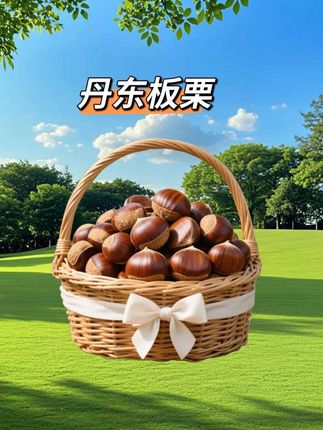 #丹东板栗#板栗熟了 #现摘现发新鲜到家 #颗大饱满#皮薄肉厚