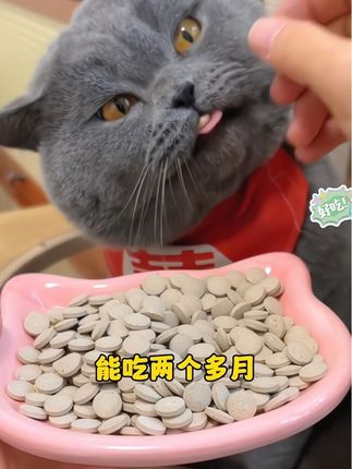 补充营养温和排毛,猫咪化毛球片#养猫新手 #猫用品 #萌宠好物 #喂猫 #化毛球片