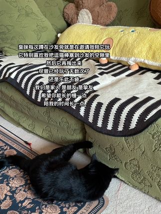 #猫咪日常 #铲屎官日记