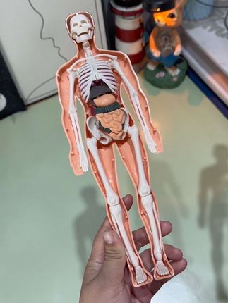 小朋友自己可以研究明白的知识,可以解放老母亲啦!
