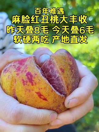大连老树黄心麻点脸桃,长得有点丑,吃起来巨甜,汁水多,果儿香#黄心麻点油桃 #麻点油桃 #丑桃 #好吃的东西要吃进肚子里 #好吃不贵经济实惠