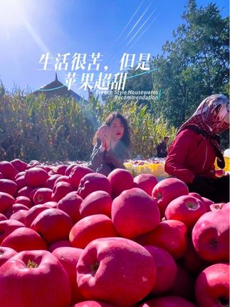 如果丰收有颜色,那一定是满地的苹果红#优质农产品 #口感特别好 #脆甜多汁 #丰收季 #上热搜
