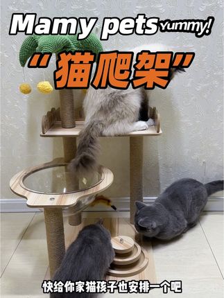 要不是看它颜值在线,猫咪还很喜欢玩,我才不舍得买呢!#MAMYPets