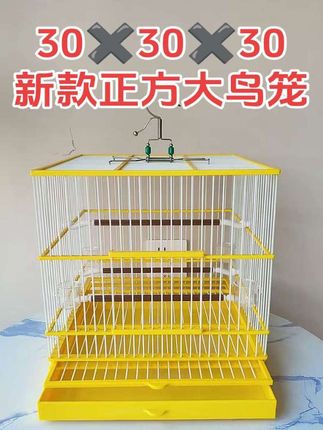 #30正方鸟笼
