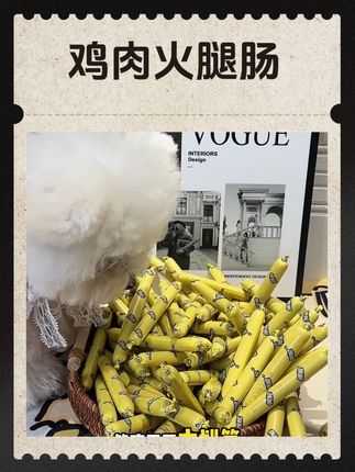 39.9元就能到手100根鸡肉火腿肠,真的太划算啦!狗狗嘎嘎炫,一天一根都不带心疼的~#宠物火腿肠 #狗狗零食 #养狗好物分享 #无限回购的宝藏单品