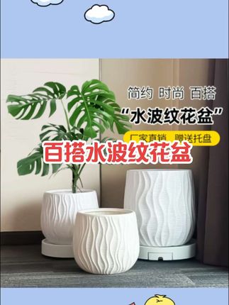 家用大口径花盆简约高颜值树脂塑料客厅阳台百合竹天堂鸟大号花盆#强烈推荐 #好物推荐🔥 #每日分享 #好物分享 #实用好物