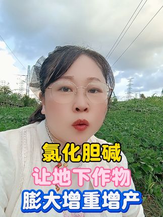 氯化胆碱,让地下作物膨大增重增产#氯化胆碱 #地下作物 #膨大剂 #地下作物膨大 #增产增收