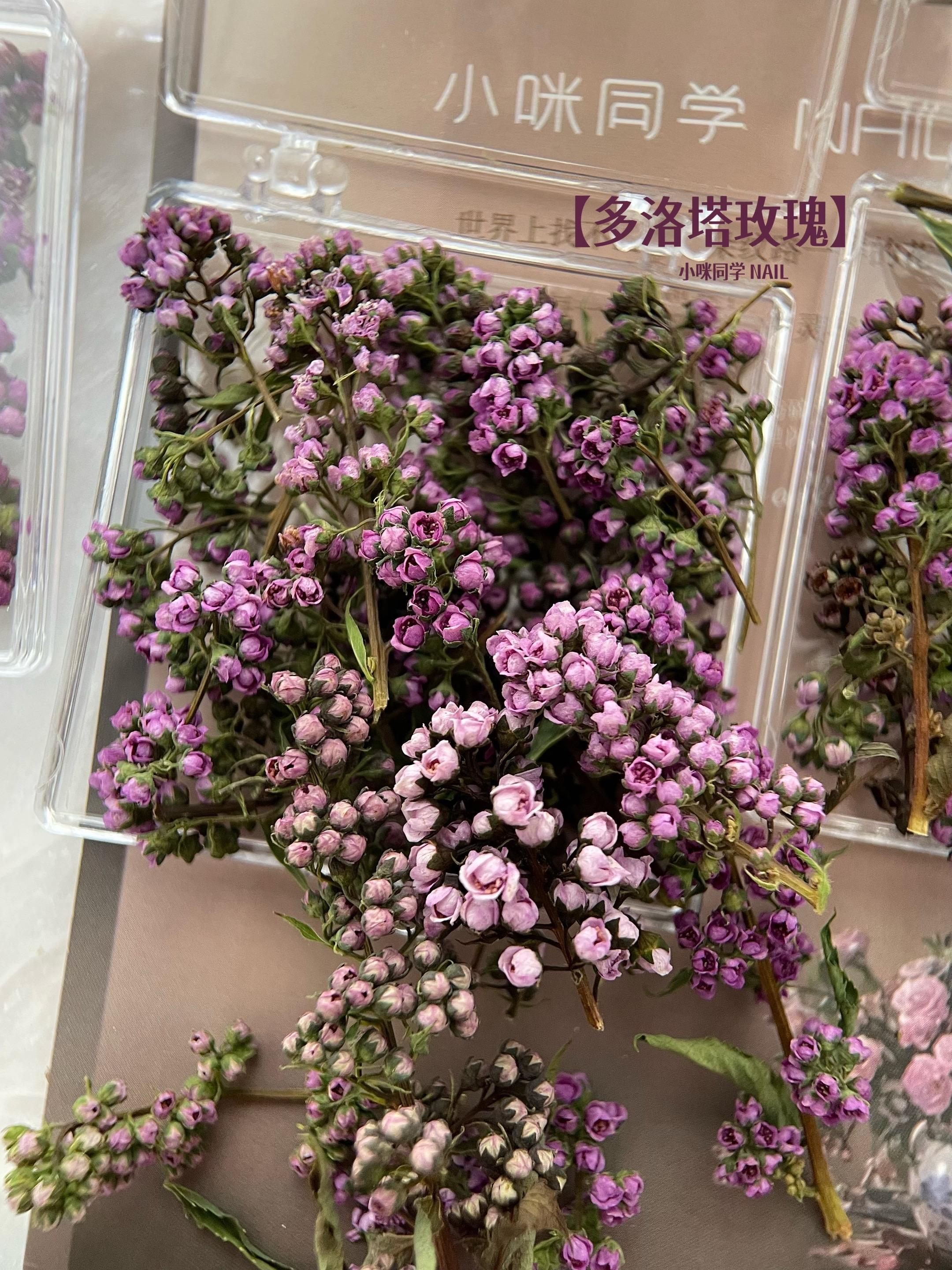 紫色系玫瑰。#好看的花一定要分享给你 #玫瑰 #美甲 #插花