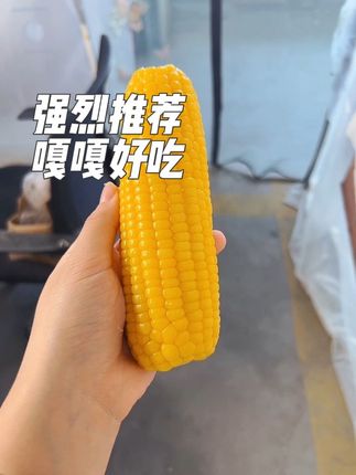 太好吃了东北糯玉米 糯唧唧的口感玉米味特别好,#软糯香甜 #美食 #糯玉米 #粘玉米 #吃玉米